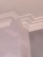 Out of date casting plaster.