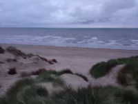 Beat the bookies 2019