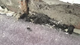 Does anyone know what this is?