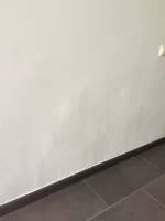 Beat the bookies 2019