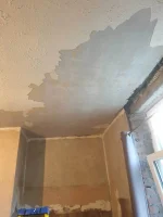 Overboard Lath & Plaster Ceiling / Skim or Pull down?