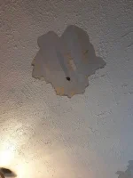 Overboard Lath & Plaster Ceiling / Skim or Pull down?