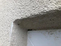 House been rendered in Weber - advice wanted