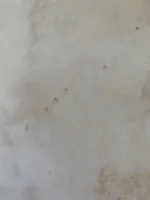 Bad plastering and plasterer refusing to fix it or even come look