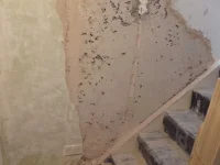 Need Some Advice about patching and wonky wall