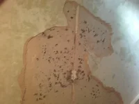 Need Some Advice about patching and wonky wall