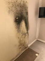 damp/condensation issues 1930s Bungalow ....HELP please