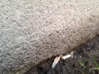 K Rendner Garden walls