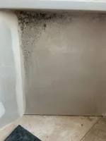 Solid exterior wall, insulated plasterboard and damp