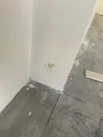 Solid exterior wall, insulated plasterboard and damp