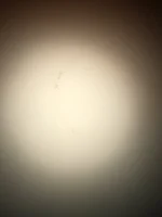 New here, please see pictures.