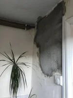 Looking for a pointer and plasterer (and a bit of guttering possibly)