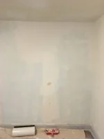 Chimney breast not drying