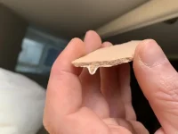 Artex or not - worried