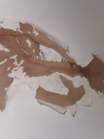 New Cracked plaster on top of old cracked plaster