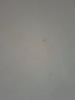 Which plastering job is better and why?