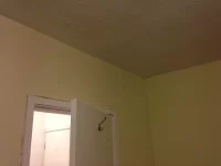 25yr old female in Plymouth, free labour in return for skills.