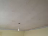 25yr old female in Plymouth, free labour in return for skills.