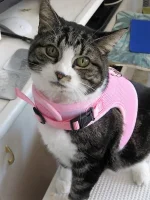 HELLO FROM SURREYGIRL LIVING IN SPAIN