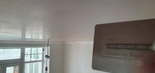 Ragni 14' Flexlite trowel