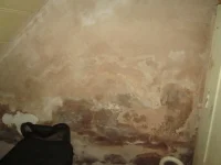 salty? wall need advice please