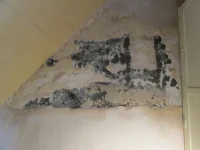 salty? wall need advice please