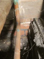 salty? wall need advice please