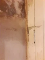 salty? wall need advice please