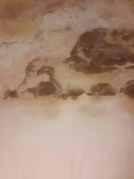 salty? wall need advice please