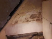 salty? wall need advice please