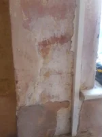 salty? wall need advice please