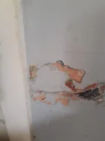 salty? wall need advice please