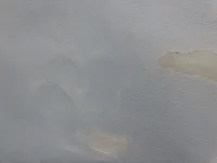 Bumps appeared in rendered retaining garden planter wall.