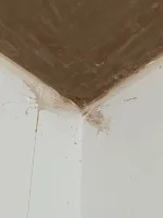 Need advice - is this plastering up to standard?