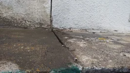 Penetrating damp / stain on joining wall just below porch roof