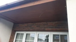 What board, for silicone render