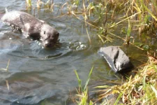 Who's out today then?