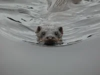 Who's out today then?