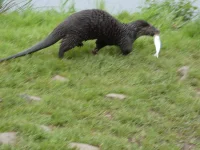 Who's out today then?