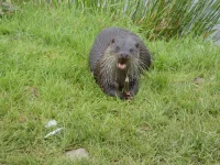 Who's out today then?