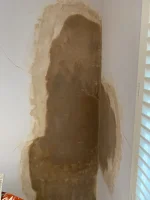 Pva or not?