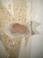 What type of plaster is this?