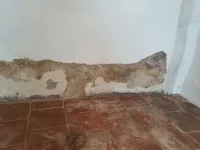 What is this?