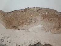 What is this?
