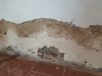 What is this?