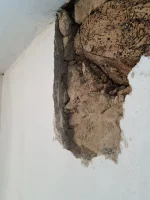 What is this?
