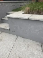 Monocouche problem