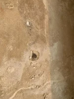 Plaster Query