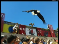 Carry on Campers 2021