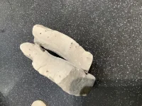 blocked drains info needed